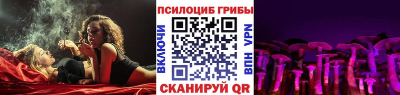 Галлюциногенные грибы Psilocybe  Шебекино 